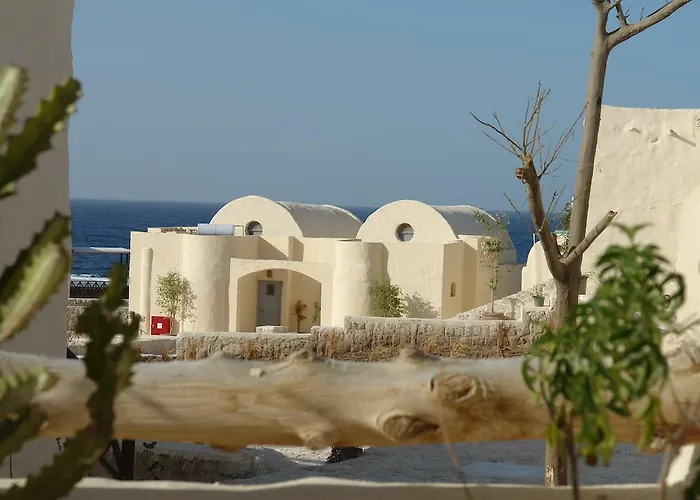 The Oasis