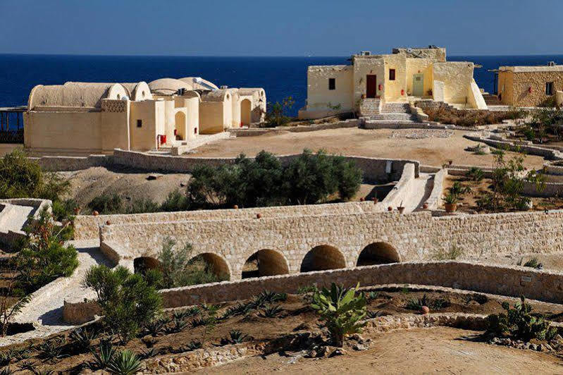 Resort The Oasis Abu Dabab